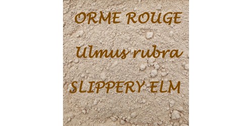 ORGANIC SLIPPERY ELM TEA (Bark / Powder) / Ulmus rubra